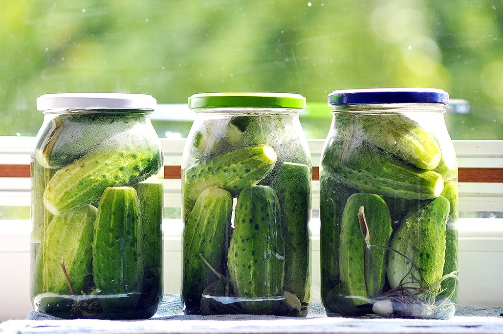 KRONIKA POVIJESNIH STRANPUTICA