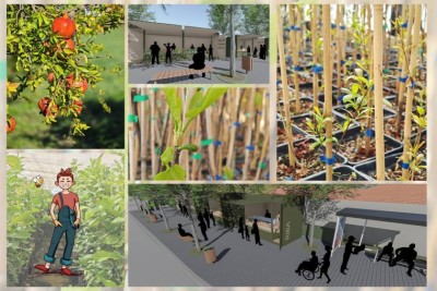 Proljetni poziv Konavlima: Cvijeto dijeli sadnice na Grudi