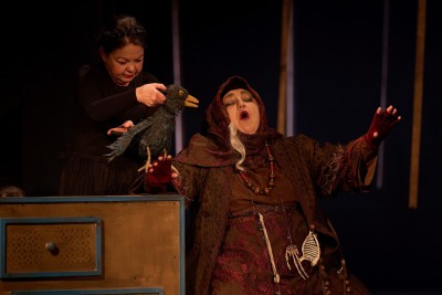 Vasilisa Premudra: Čarobni svijet bajki