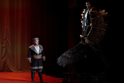 Vasilisa Premudra: Čarobni svijet bajki