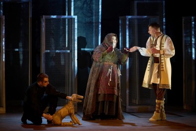 Vasilisa Premudra: Čarobni svijet bajki