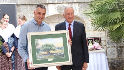 Najbolji sportaši Dubrovačko-neretvanske županije za 2025. godinu