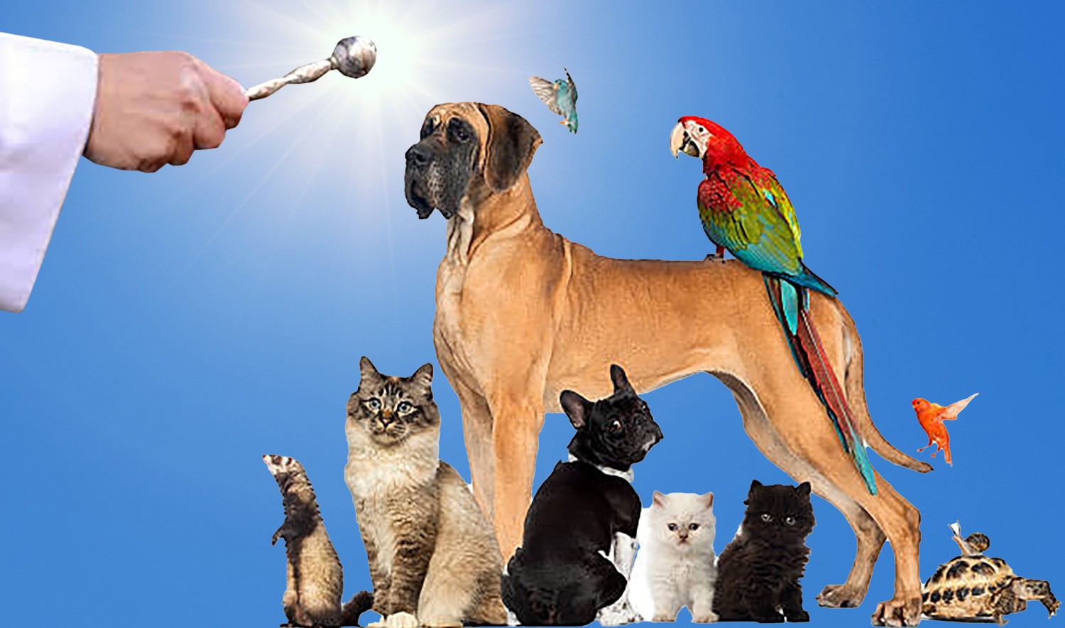 KRONIKA POVIJESNIH STRANPUTICA